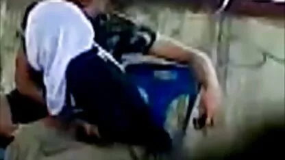 جوجه بالغ با مشاعره هم ماساژ سبک داشت و هم ضربه سختی ویدویسکسی در گربه او